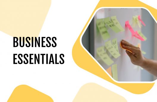 Business Essential Course 2023